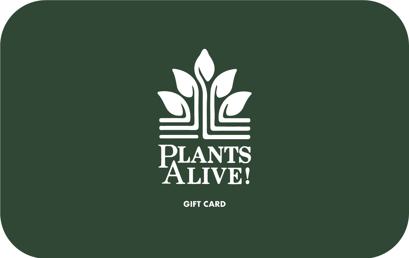 E-Gift Card (Digital)