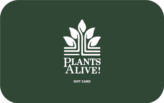 E-Gift Card (Digital)