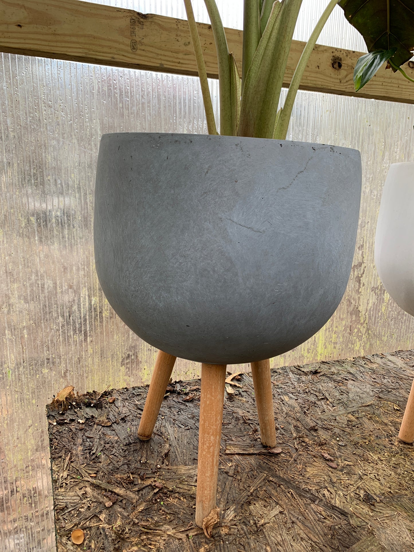 Tolleson Egg Planter with Wooden Legs